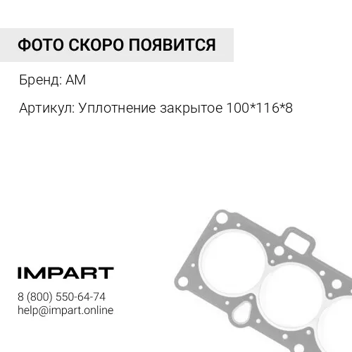Уплотнение закрытое 100*116*8