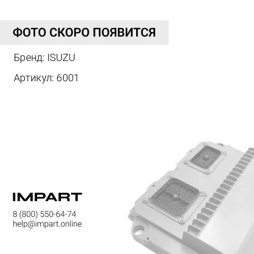 6001 L0006001(0006001):Жгут проводов ISUZU