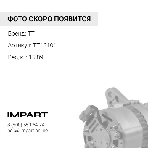TT13101 Генератор