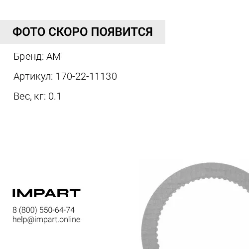 170-22-11130 Кольцо уплотнительное AM