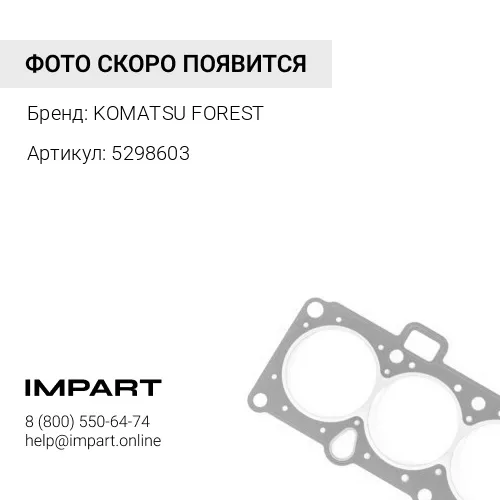 5298603 УПЛОТНЕНИЕ
