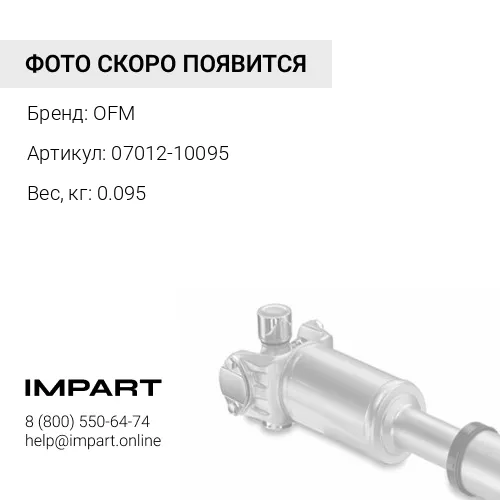 07012-10095 сальник гт OFM