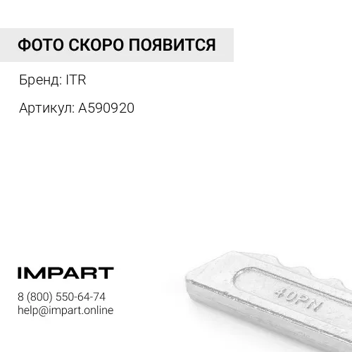 Шайба (A590920)