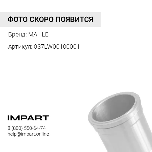037LW00100001 Гильза цилидра (мокрая) с О-образным кольцом MAHLE