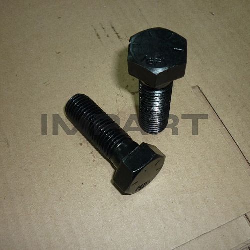 J932060-CF БОЛТ ЗВЕЗДОЧКИ (M20X60X2.5)