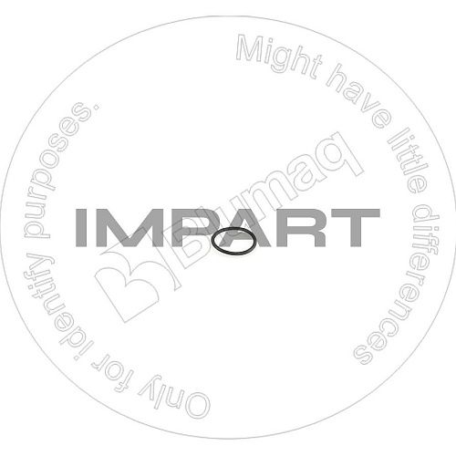 07002-04234 Кольцо уплотнительное