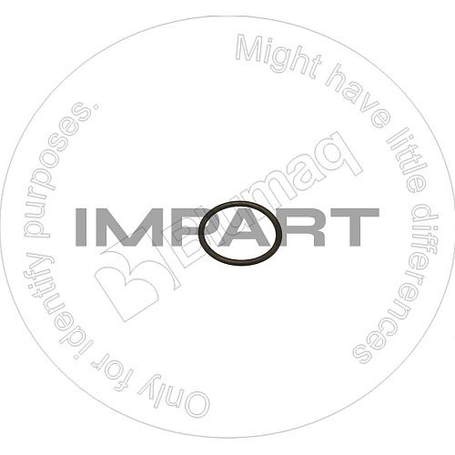 2K8199 О-кольцо